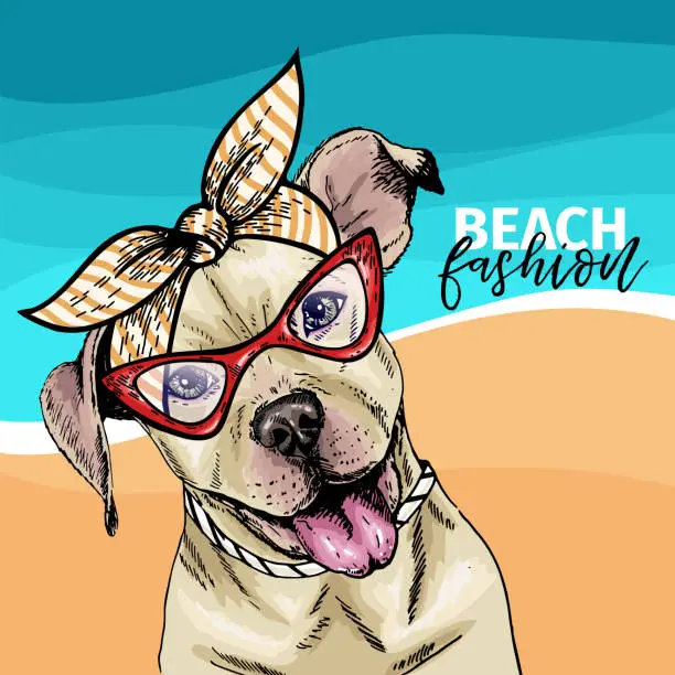 Vector illustration of Vector portrait of pit bull terrier dog wearing sunglasses and retro bow. Summer fashion illustration. Vacation, sea, beach, ocean. Hand drawn pet portait. Poster, t-shirt print, holiday, postcard.