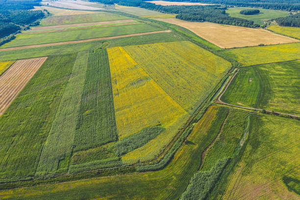 istock Aerial Flying over countryside with forest and fields at summer time 1165115589