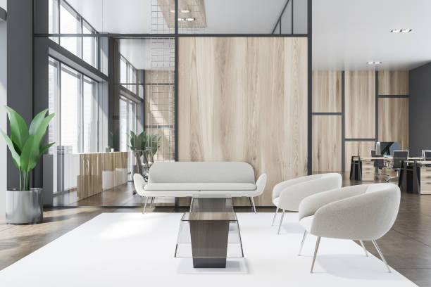 istock Waiting room with sofa and armchairs 1165115768