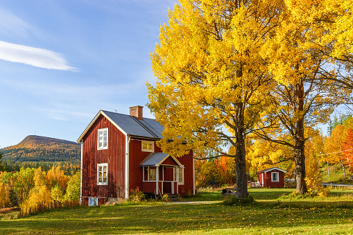 Valadalen, Sweden - September 25 2016: Cottage with garden with autumn colours in a mountain landscape