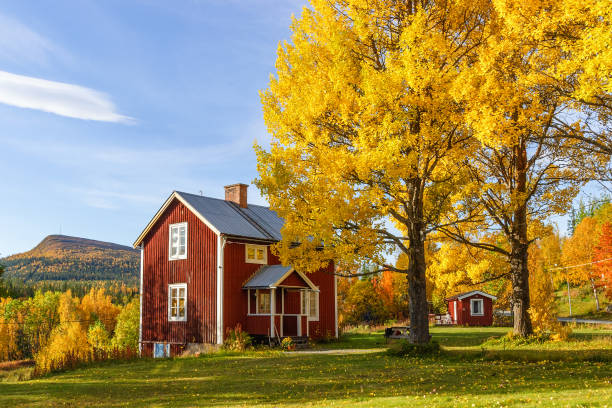 cottage with garden with autumn colours in a mountain landscape - cottage autumn wood woods imagens e fotografias de stock