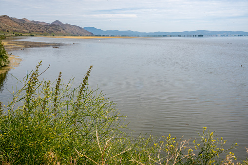 Empty camping chair at the lakeside with mountain and sky background, folding outdoor chair