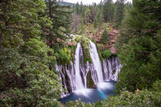 Daytime long exposure of McArthur Burney Falls waterfall in California Daytime long exposure of McArthur Burney Falls waterfall in California burney falls stock pictures, royalty-free photos & images