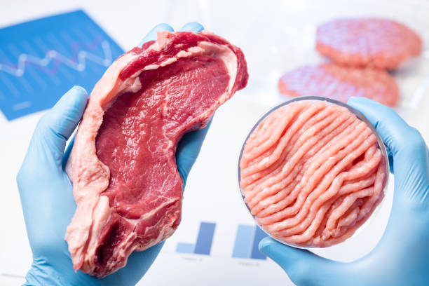 istock Quality inspection or cultured artificial lab meat concept. 1165119004