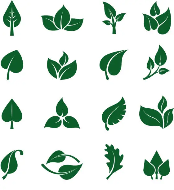 Vector illustration of Leaves logo. Stylized green plants for eco business brand design projects clean nature garden