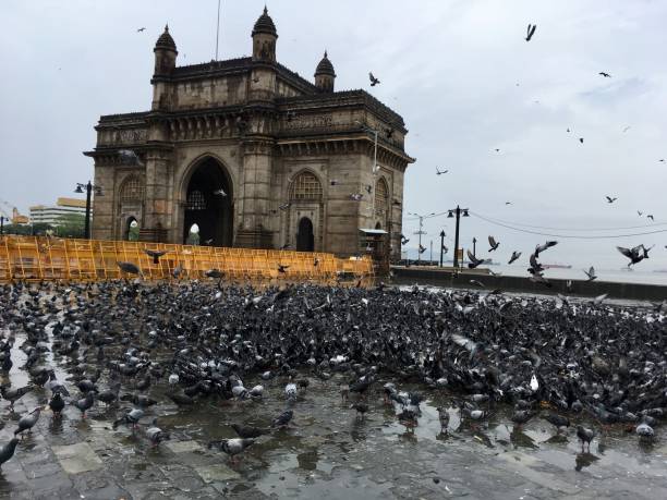istock The Gateway of India. 1165120082
