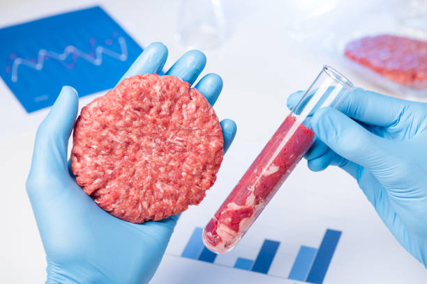 istock Clean ground meat sample burger patty in lab scientist hand. 1165121853
