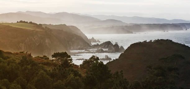 istock Offshore rocks and coastline in foggy evening 1165121942
