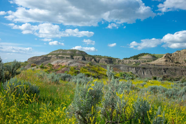 Painted Canyon in the Badlands, North Dakota