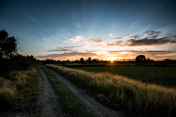 istock sunset on the road in countryside thailand 1165123947