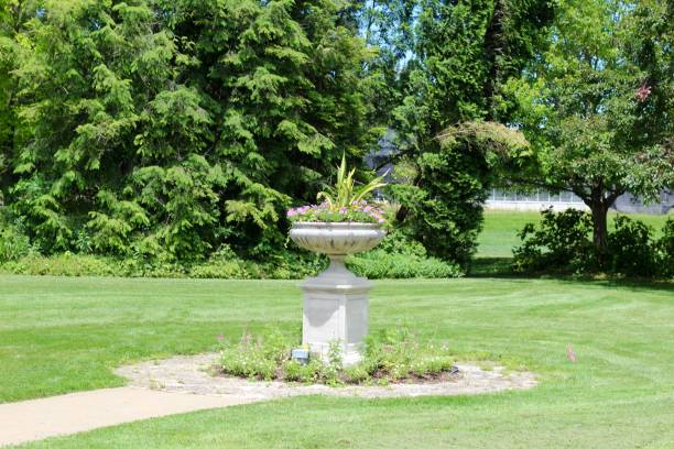 istock Tall Flower Pot in Garden 1165124116