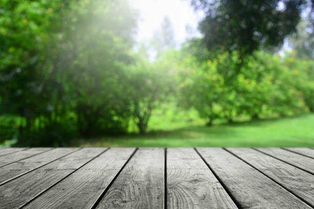 istock Empty wooden table and blurred nature garden background. 1165125553