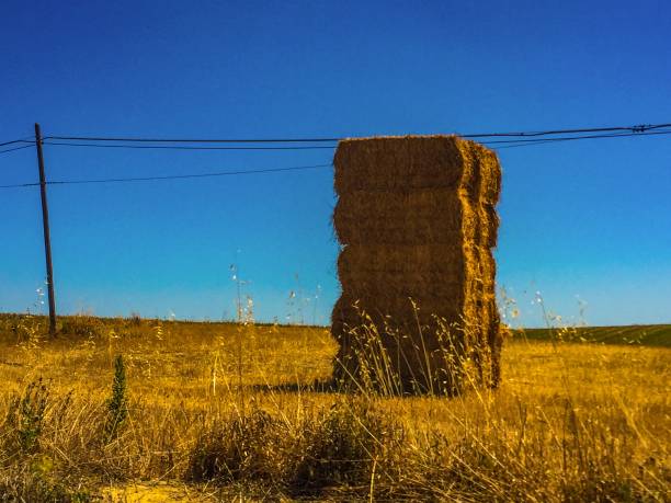 istock Summertime in Italy 1165127180