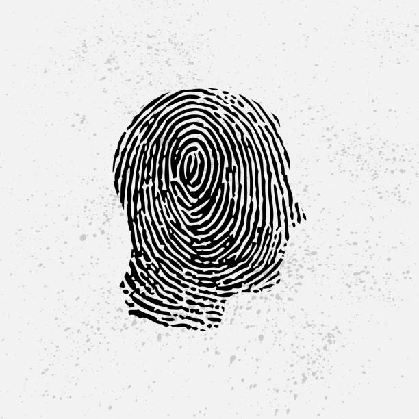 ilustrações, clipart, desenhos animados e ícones de fundo da identificação da face com impressão digital - fingerprint thumbprint human finger track