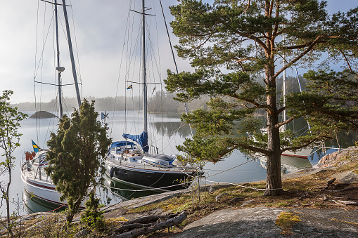 Rocky landscape near Ringsoen Island, Stockholm archipelago, Sweden