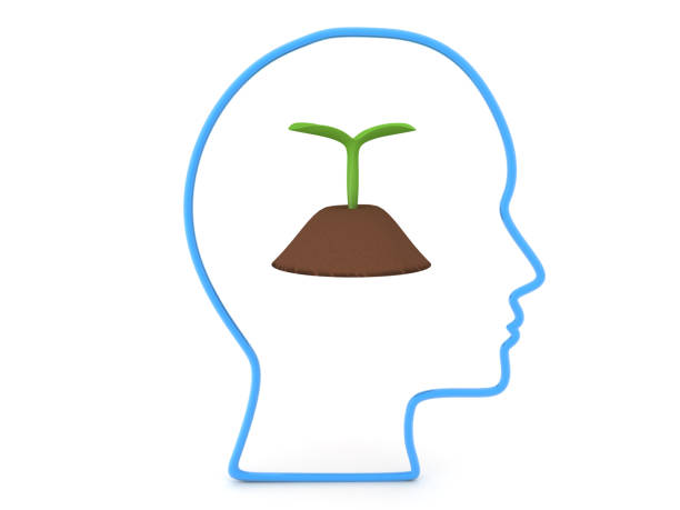 istock 3D Outline of head with plant seedling growing in soil 1165130708