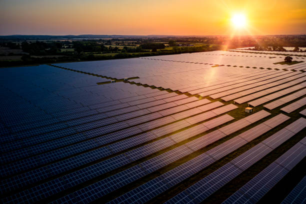 istock Solar farm at sunrise 1165131463
