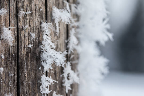Close up of ice crystal or snowflake on a timber needle