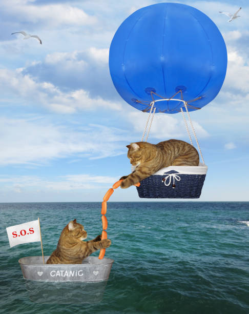 istock Cat rescuer in a blue hot air balloon 3 1165137770