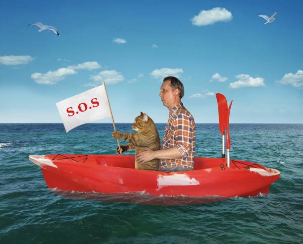 istock Man with his cat in a red kayak 1165137771