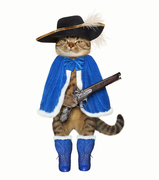 istock Cat musketeer with a pistol 1165137780