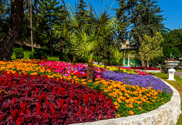 istock Park 