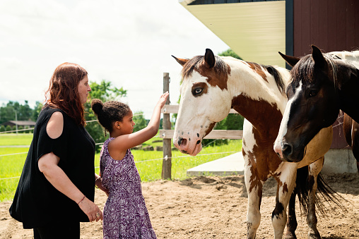 In this special center, a shelter for battered and abandoned animals, they are trained to be in contact with neuro atypical people, so they can comfort each other. A young autist girl is learning with her mother to connect with a horse. Horizontal waist up outdoors shot with copy space.