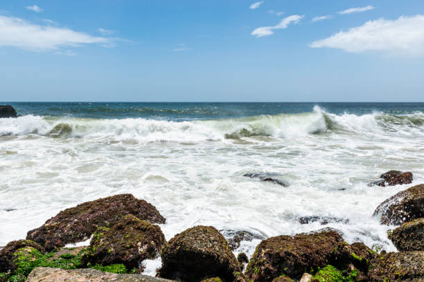 istock Waves crashing on shore on a  tropical beach 1165139130
