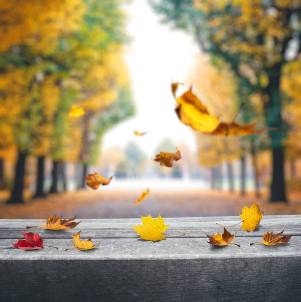 istock Falling Leaves In a City Park 1165140210