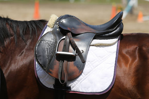 istock Closeup of a leather saddle for equestrian sport on horseback 1165141908
