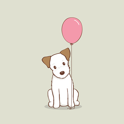 JRT puppy holding a pink birthday balloon