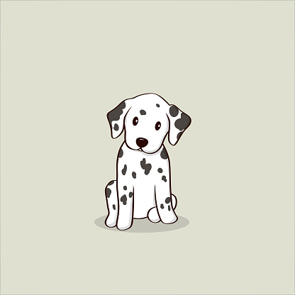 Dalmation puppy sitting, vector illustration