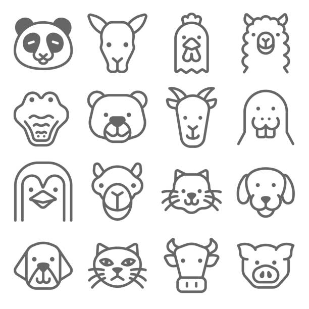 ilustraciones, imágenes clip art, dibujos animados e iconos de stock de conjunto de icono de animal. contiene iconos como panda, perro, gato ,pig y más. trazo expandido - alpaca