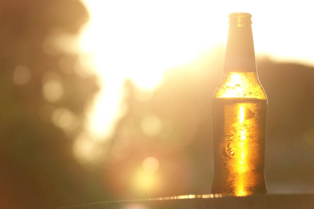 istock Bottle of beer at sunset 1165145249