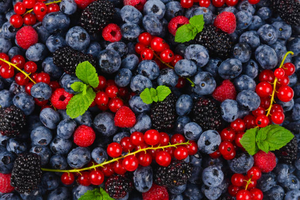 istock Blackberry, raspberry, blueberry,  red currant and mint background. 1165147235
