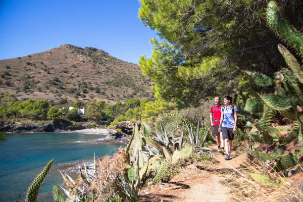 istock Couple hiking along footpath admiring the view surrounded by cactus 1165148698