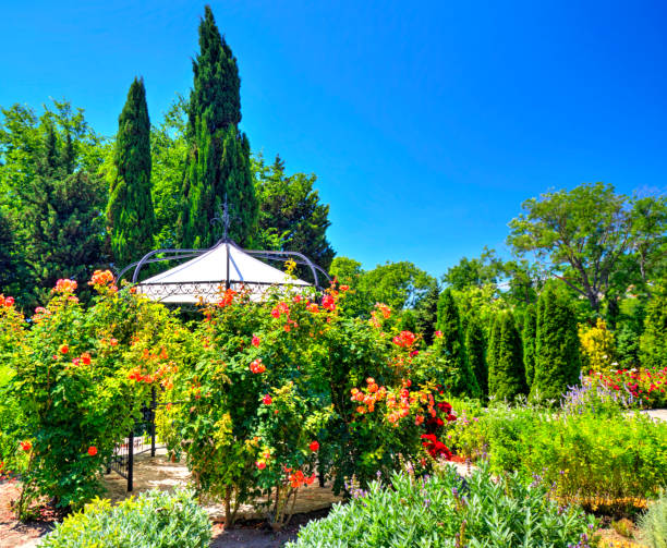 istock Blooming flowers in the botanical garden 1165149255
