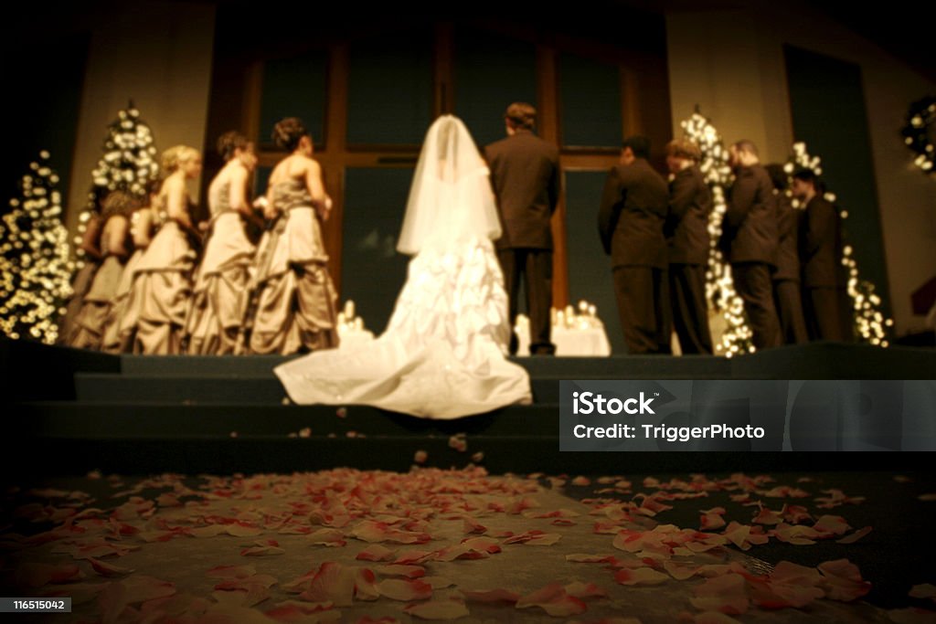 Ritratti da sposa - Foto stock royalty-free di Matrimonio