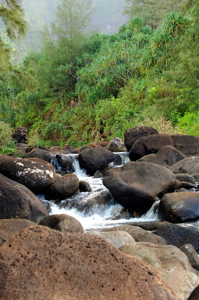 istock Kalalau Trail and flowing Stream on Kauai 1165151884