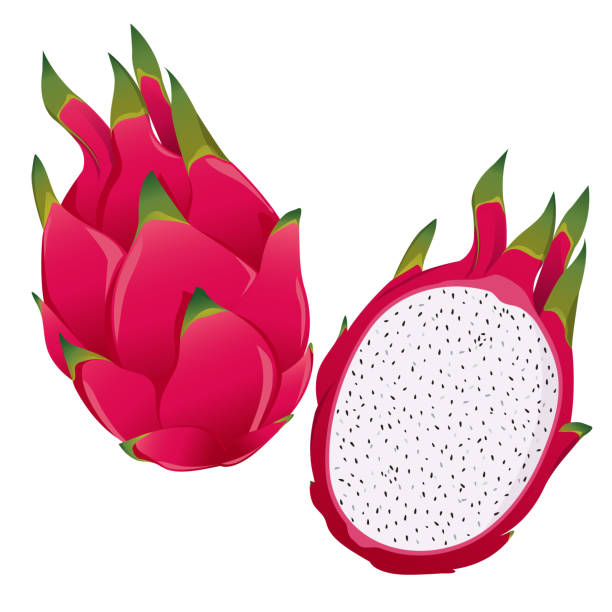 illustrations, cliparts, dessins animés et icônes de fruits pitaya-dragon - fruit du dragon