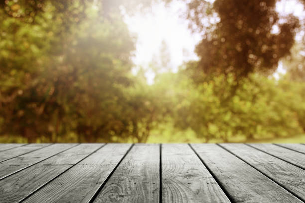 istock Wooden table and beautiful blurred garden autumn background. 1165163513