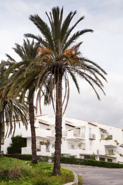 istock architecture of building in spain 1165166120
