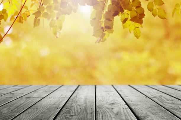istock Wooden table and blurred leaf nature autumn background. 1165166172