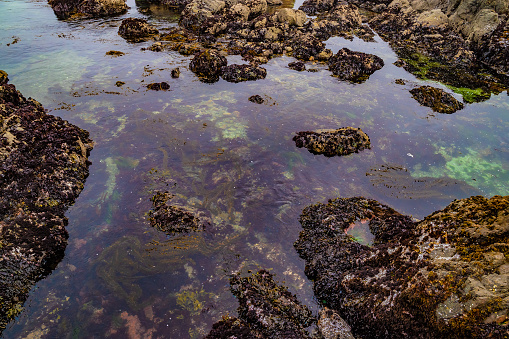 Whitley Bay rock formations.