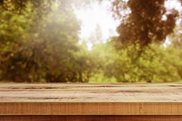 istock Wooden table and beautiful blurred garden autumn background. 1165166563