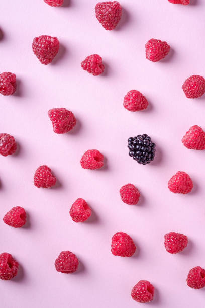 istock Raspberry sweet organic juicy berries with single blackberry, pattern, texture, on pink paper background, flat lay 1165168071