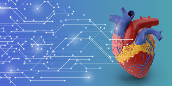 3D heart model object with circuit lines connections in blue background with copy space.