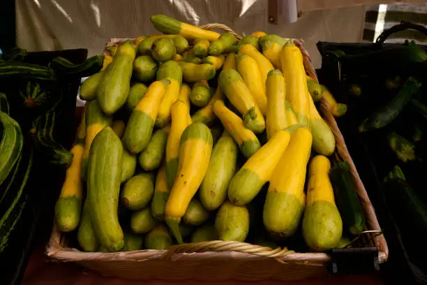 yellow and green bicolor or two tone squash on sale at outdoor market