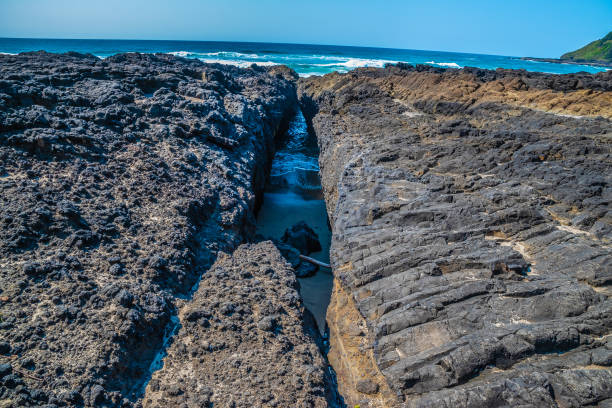 istock Beautiful Day Along the Coastline in Oregon 1165173932
