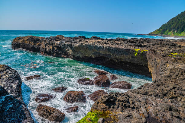 istock Beautiful Day Along the Coastline in Oregon 1165174015
